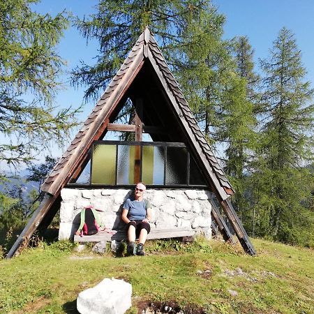 Ferienwohnung Schmaranzer Gosau Exterior foto