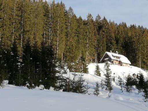 Ferienwohnung Schmaranzer Gosau Exterior foto